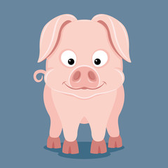 Cute pig smiling standing on a blue background.