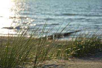 Strand mit Dünengras und Holzbuhne an der Nordsee beim Sonnenuntergang 