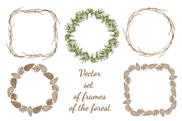 The frameset from plant forest elements.
