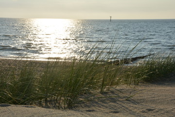 Strand mit Dünengras und Holzbuhnen an der Nordsee beim Sonnenuntergang 