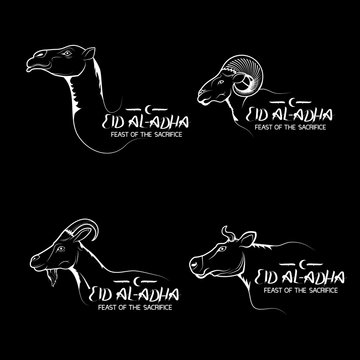 Eid Al-Adha. Camel, cow, sheep and goat-contours. Set. Inscription. Background, postcard, poster, greeting, for clothing, logo, logo, illustration. Print.