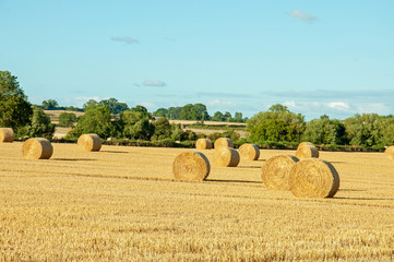 Straw bales in the English countryside.