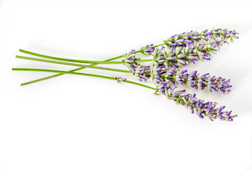 Bouquet of flowers and lavender seeds on white background, isolated.