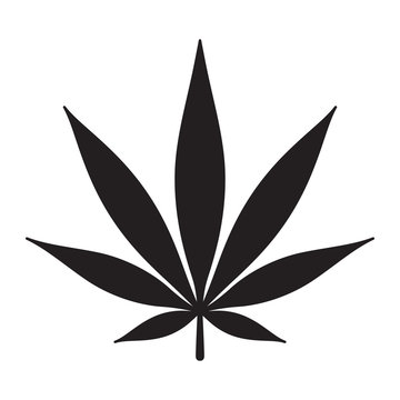 Marijuana vector icon cannabis weed leaf logo clip art illustration graphic
