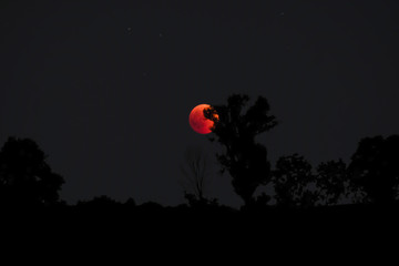 Eclissi Lunare