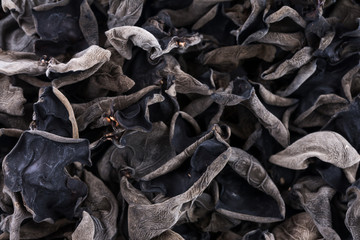Closeup of black fungus.
