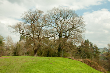 Fototapeta na wymiar Winter landscape in the English countryside.