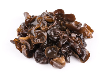 Black fungus isolated on white background