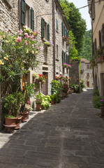 typical Italian street in a small provincial town of Tuscan, Italy, Europe