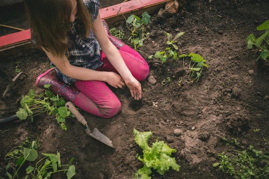 Girl sowing seeds in soil