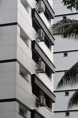 Vibrant Colours amidst White