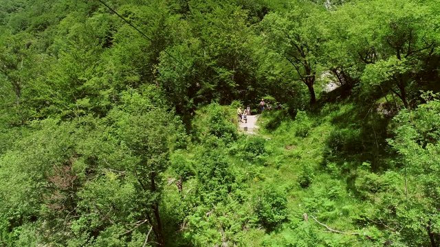 Aerial view of tourist enjoying a canopy experience over the forest in Slovenia.