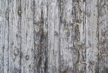 Obraz premium Painted Wood Background Texture