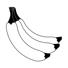 Banana delicious fruits vector illustration graphic design