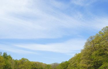 木　春　空　雲　素材