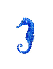 Fototapeta premium Sea horse watercolor