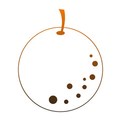 Orange citric fruit vector illustration graphic design
