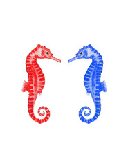 Obraz premium Sea horse watercolor