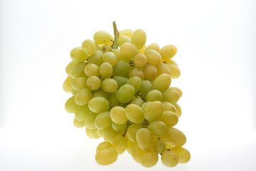 ripe grapes harvest the grapes of the vineyards of the winery grapes red green natural