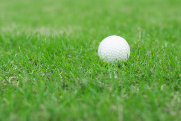 Close up to golf ball on green grass in golf course.