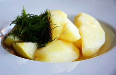 Boiled potatoes in a white plate sprinkled with dill