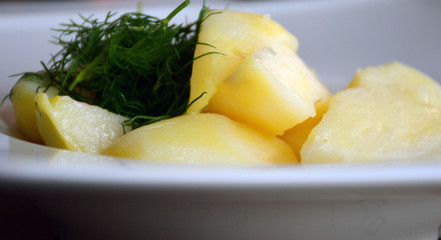 Boiled potatoes in a white plate sprinkled with dill