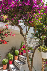 Fototapeta na wymiar Architectural details of a stairway surrounded with a lot of beutiful flowers at the old town of Skiathos, island of Skiathos, Greece