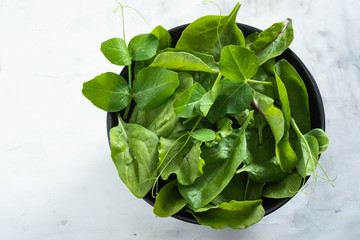 Washed fresh mini spinach in a bowl on the old concrete table. Copy space.