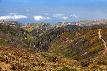 Fototapeta na wymiar Madeira Island, Portugal. Rural landscape