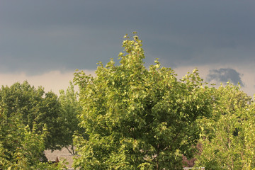 Spring afternoon weather about to change. Storm clouds moving in with lightning and thunder