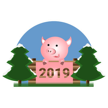 pig pig year pig new year