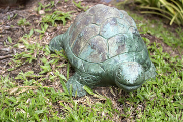 turtle statue on green grass for garden home
