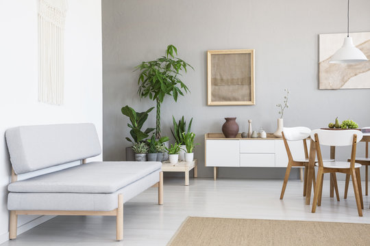 Real photo of a simple, gray sofa standing in a natural living room interior with burlap in a frame and lots of plants