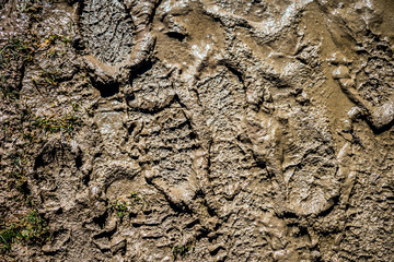 Muddy foot prints in the wet ground