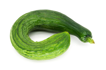 Salatgurke gekrümmt
