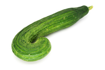 Salatgurke gekrümmt