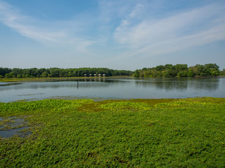 Fototapeta premium the lake with blue sky