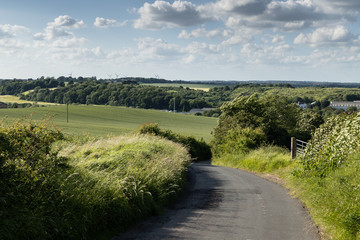 Fototapeta na wymiar Winding road through the fields and countryside