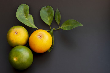 Fruit small orange sour taste with green leaves on black background.