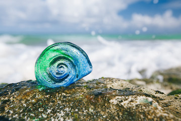 glass tropical sea  shell with waves under sun light