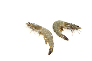 raw shrimps on white background