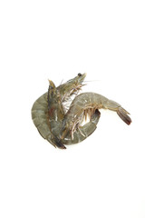 raw shrimps on white background