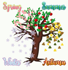 Four seasons tree banner, vector illustration