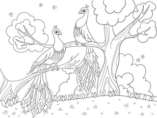 Cartoon coloring for children. A bird, a feather of a bird or a peacock on a tree. Couple in love.