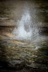 Small eruption geysir in Yellowstone National Park