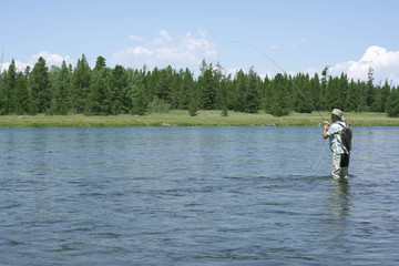 Obraz na płótnie Canvas Fly fisherman catching fish in river