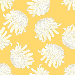 White Chrysanthemum Flower on Yellow Background
