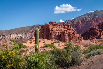 Quebrada de la Senorita desertic valley in Uquia Village at Quebrada de Humahuaca - Uquia, Jujuy, Argentina © diegograndi