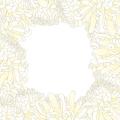 White Chrysanthemum Flower Border.