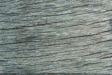 Texture of bark background,tree texture,wood background